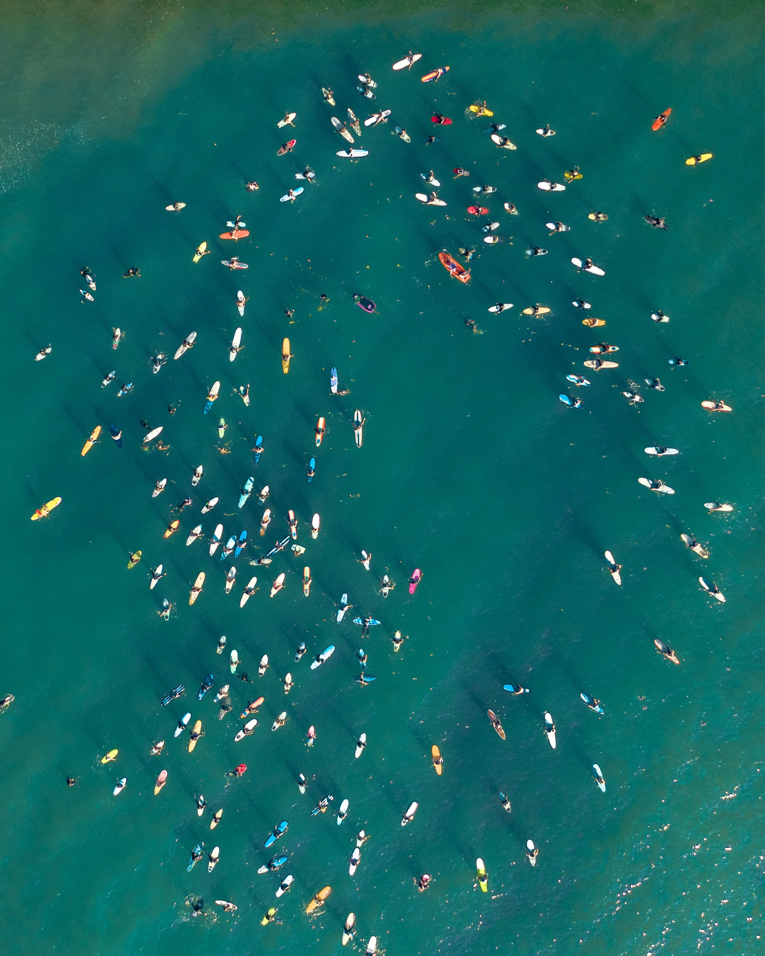Paddle Out-.jpg