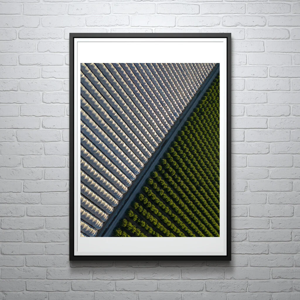 Display Abstract Farming.jpg