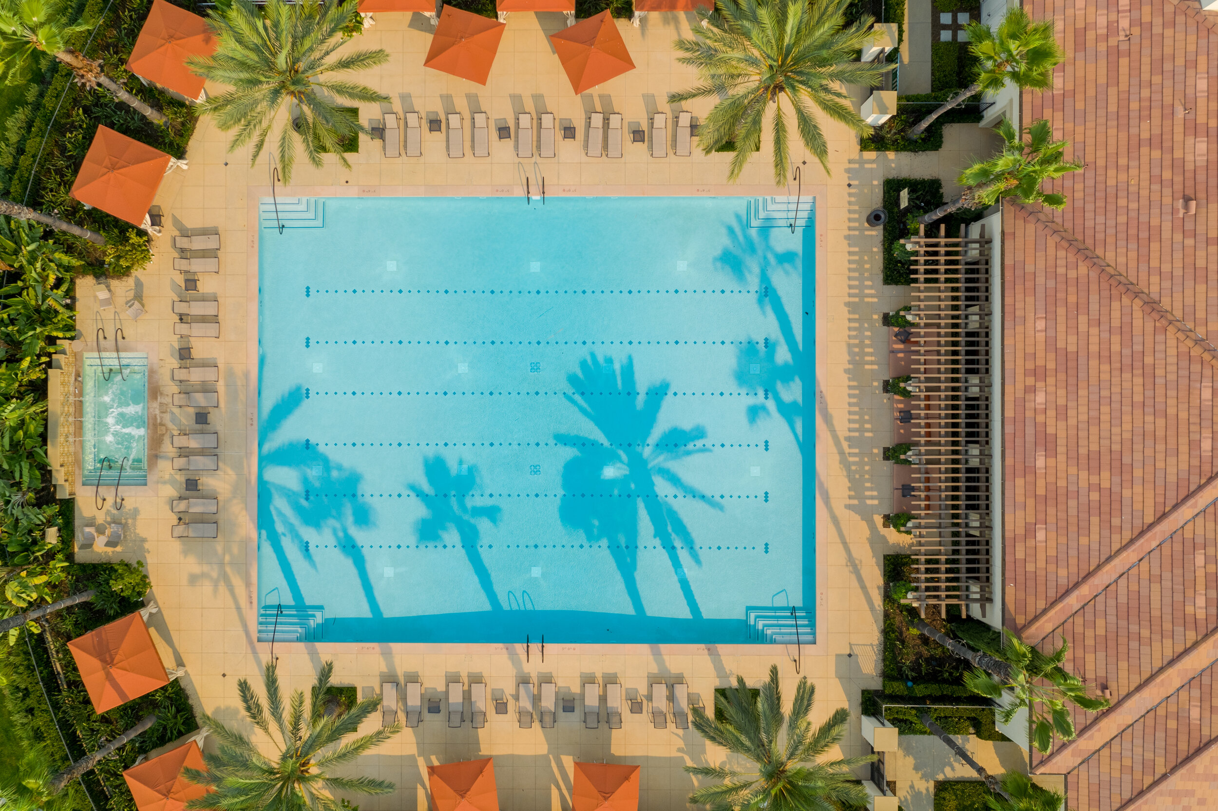 Pool Views
