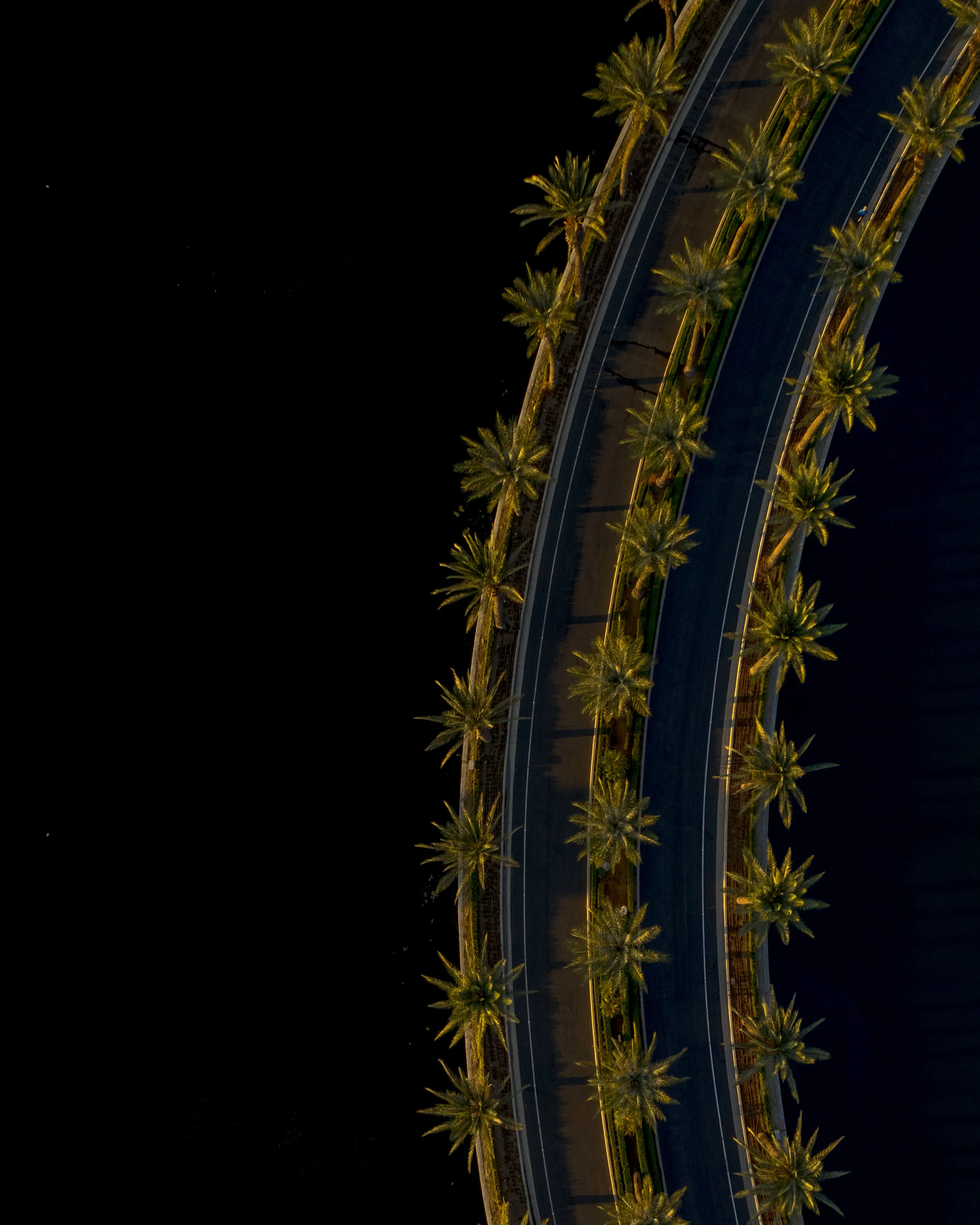 PALM ARCHES