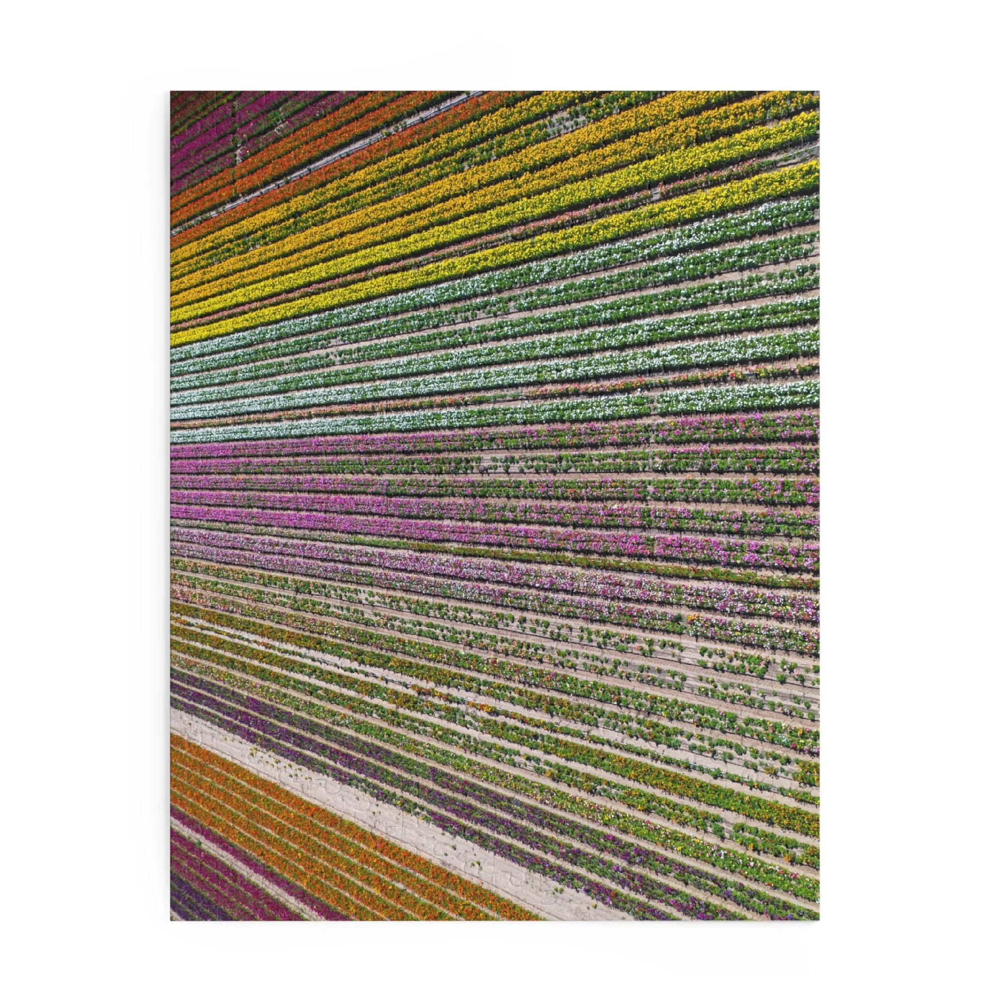 bc8831c6406507f5e0358e7c889fae75