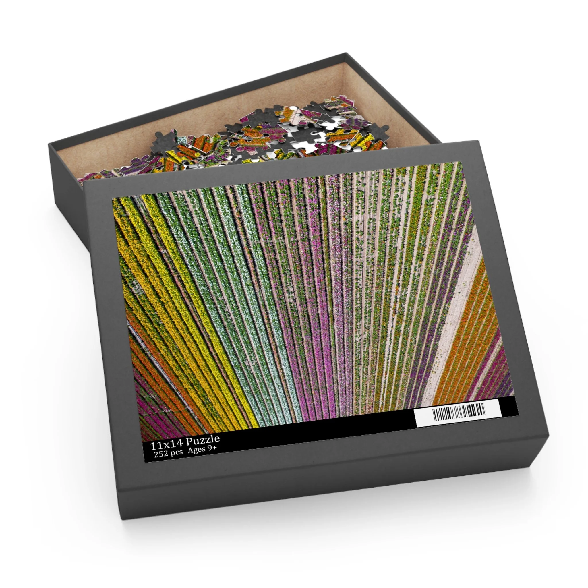 fa5084b473ba7956913a0ff1cc55958f