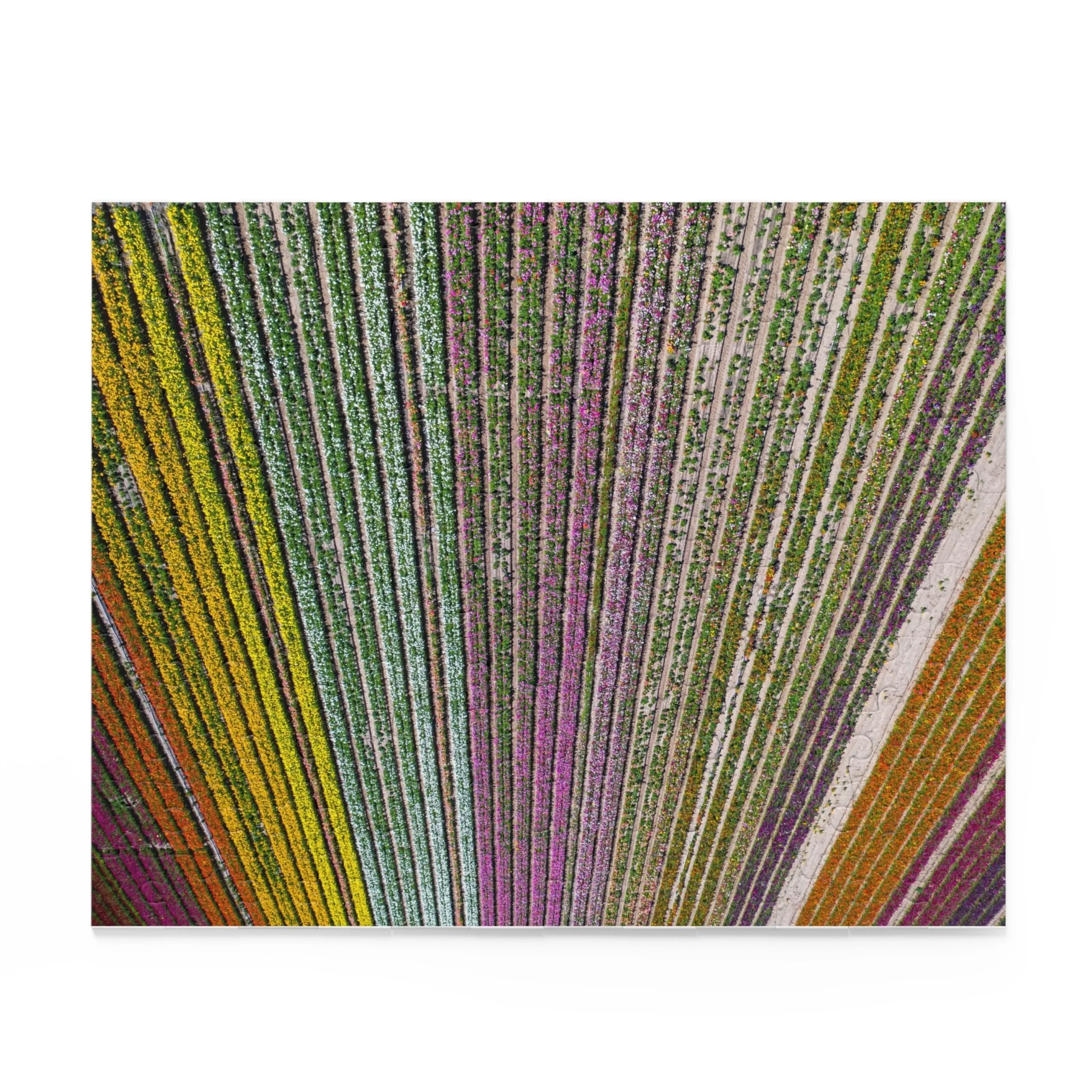 91f77e7b89de3f38f7d6b35ab6787bff