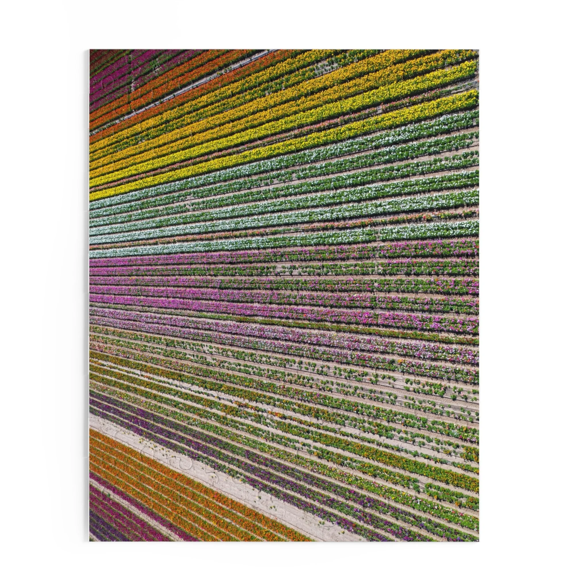 3b57c20059664ba81ac32733b06a6e01