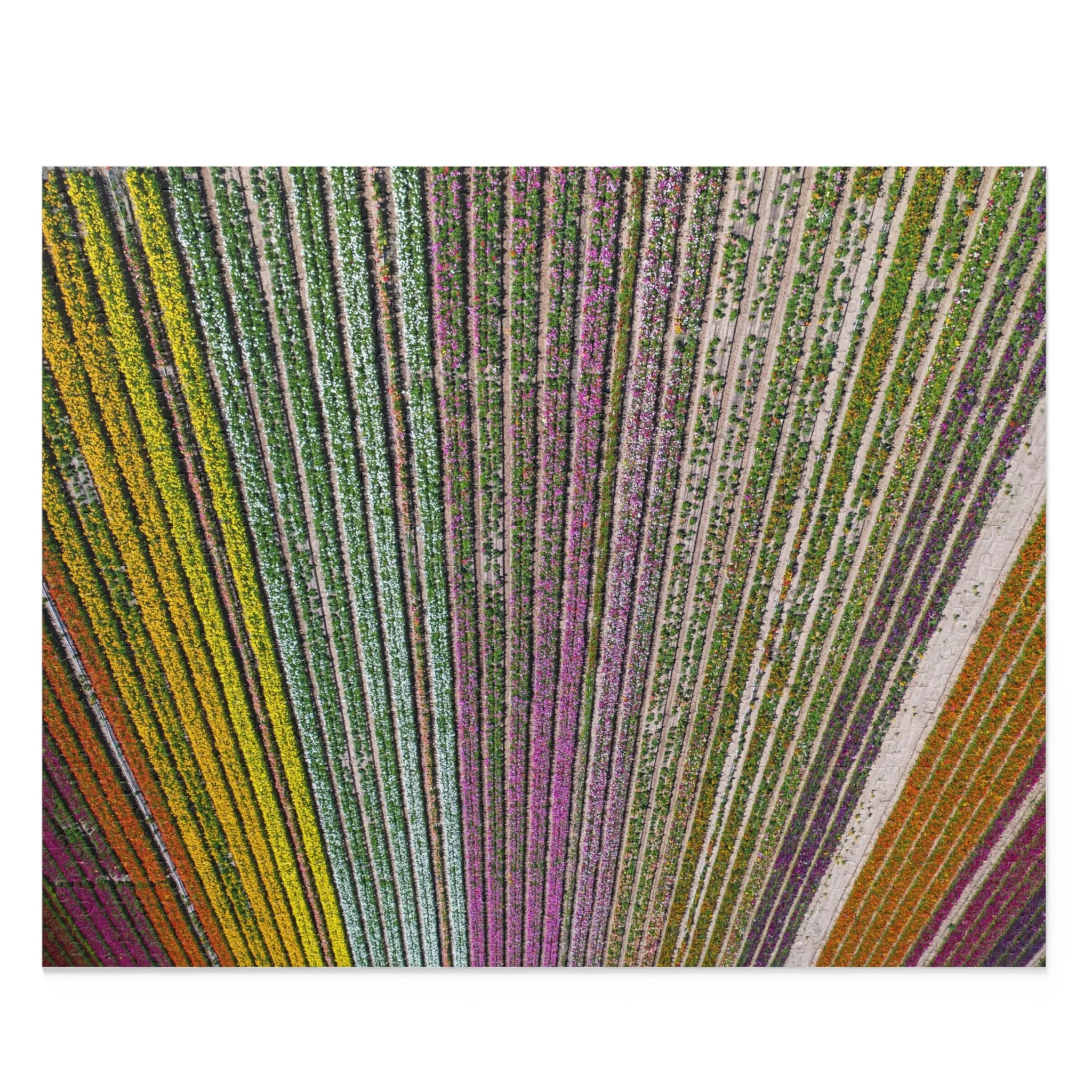 cab127a827eeecb72eb23f0234a8d8dd