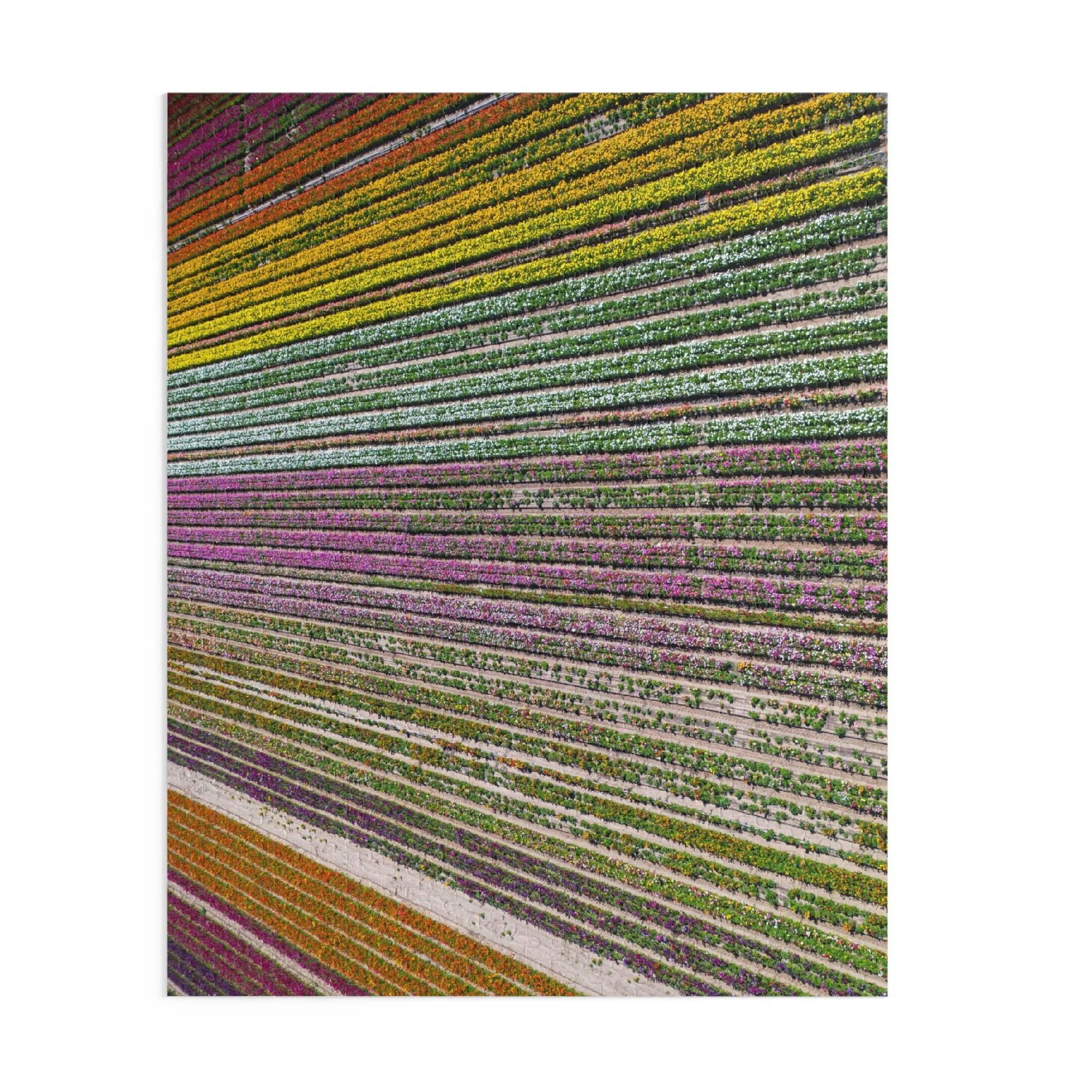 d247ffac8ea74afb27d87adcc3e6daac