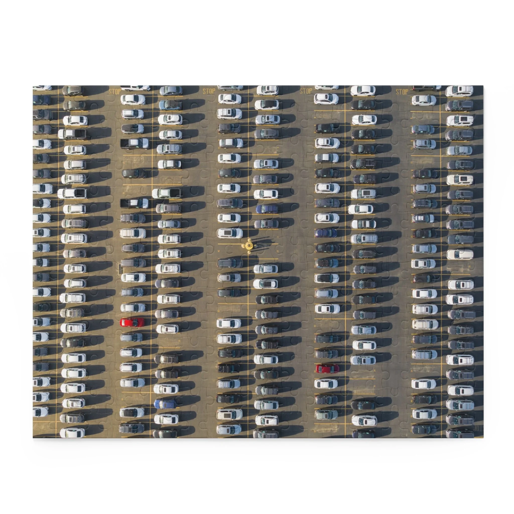 d246c5f378f9b0d7c2f1296c66843d8a