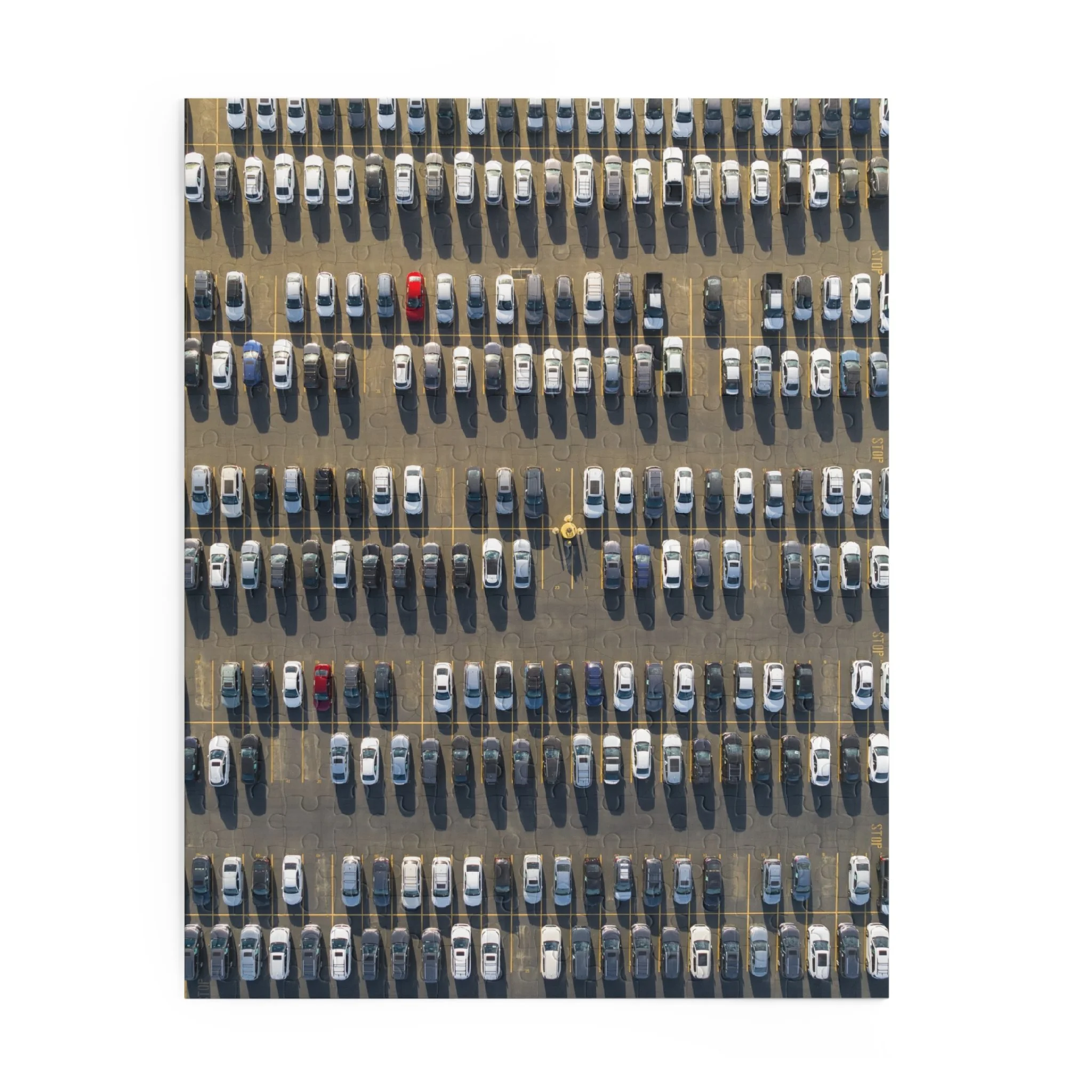 a53297b3256a4a62967b3de8b8265049