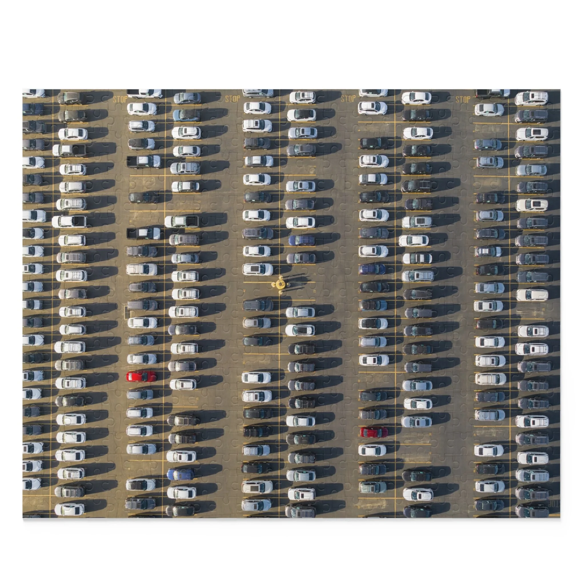 9ed3b3b98690f5855c22d870bbc85714