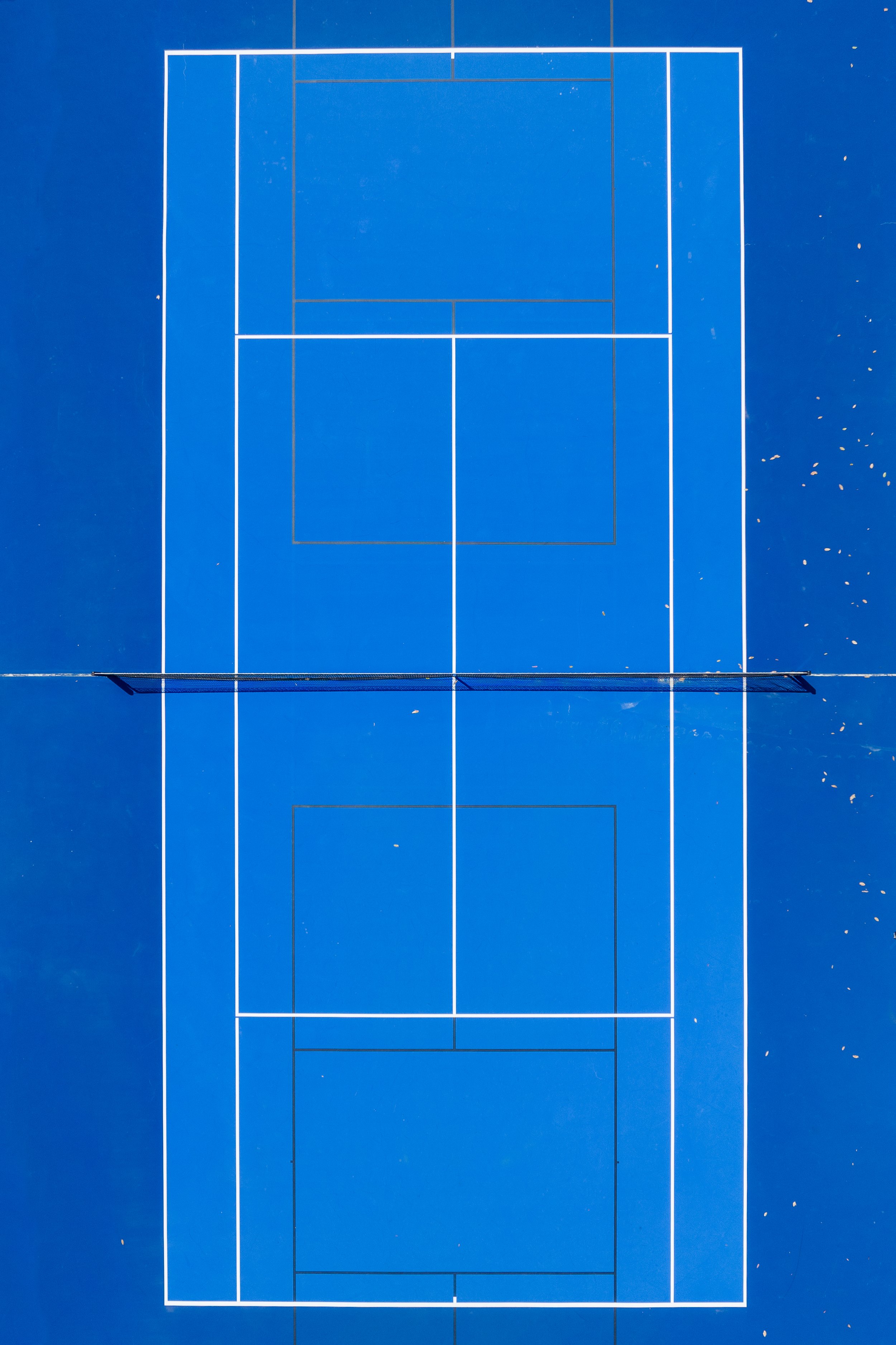 Court 14.jpg