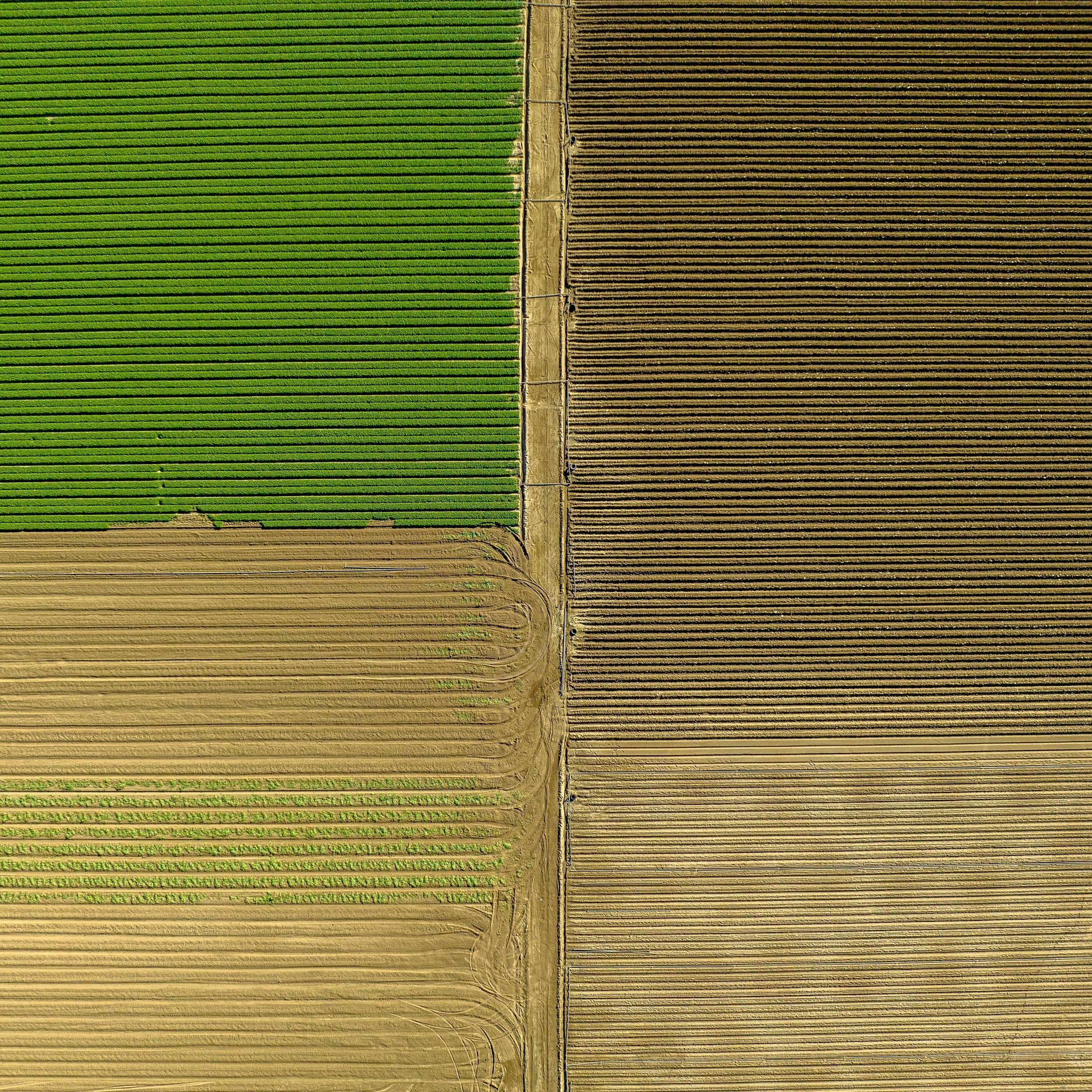 TILE No16.jpeg
