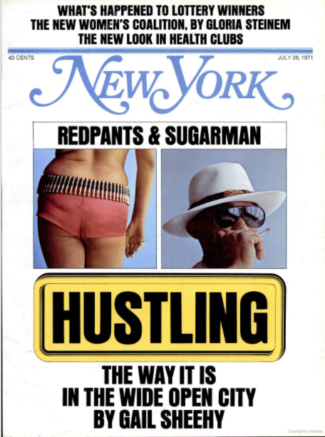 nymag - Sheehy cover.png