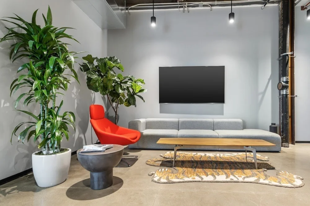Lounge and hospitality project by Source COI