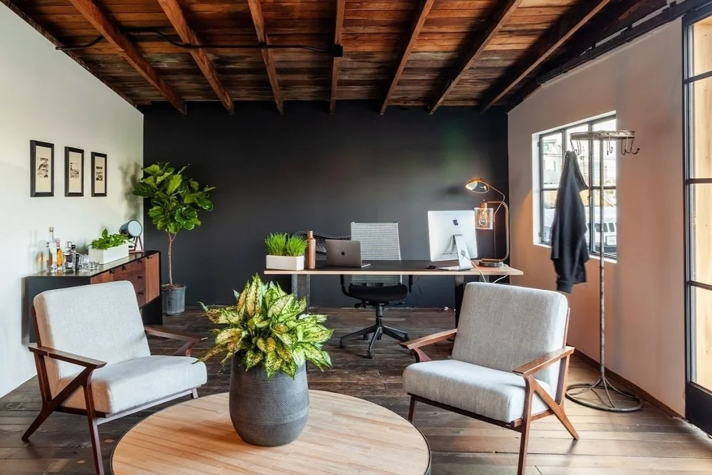 Executive Suites
