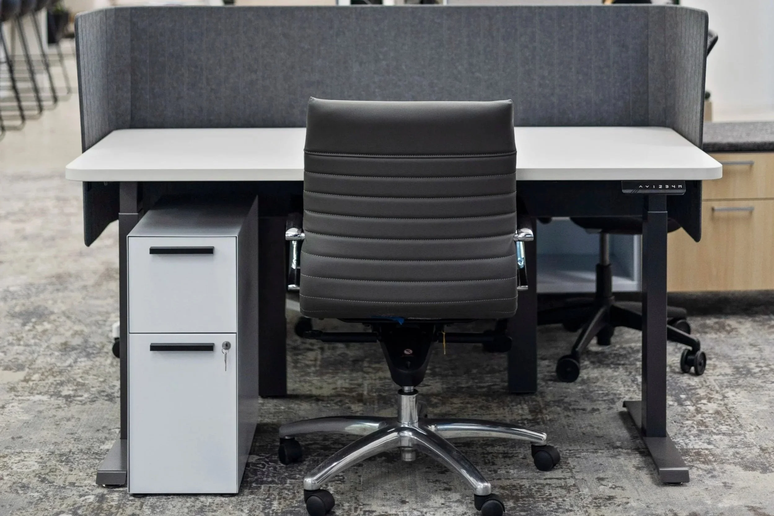 Sit-Stand Desk