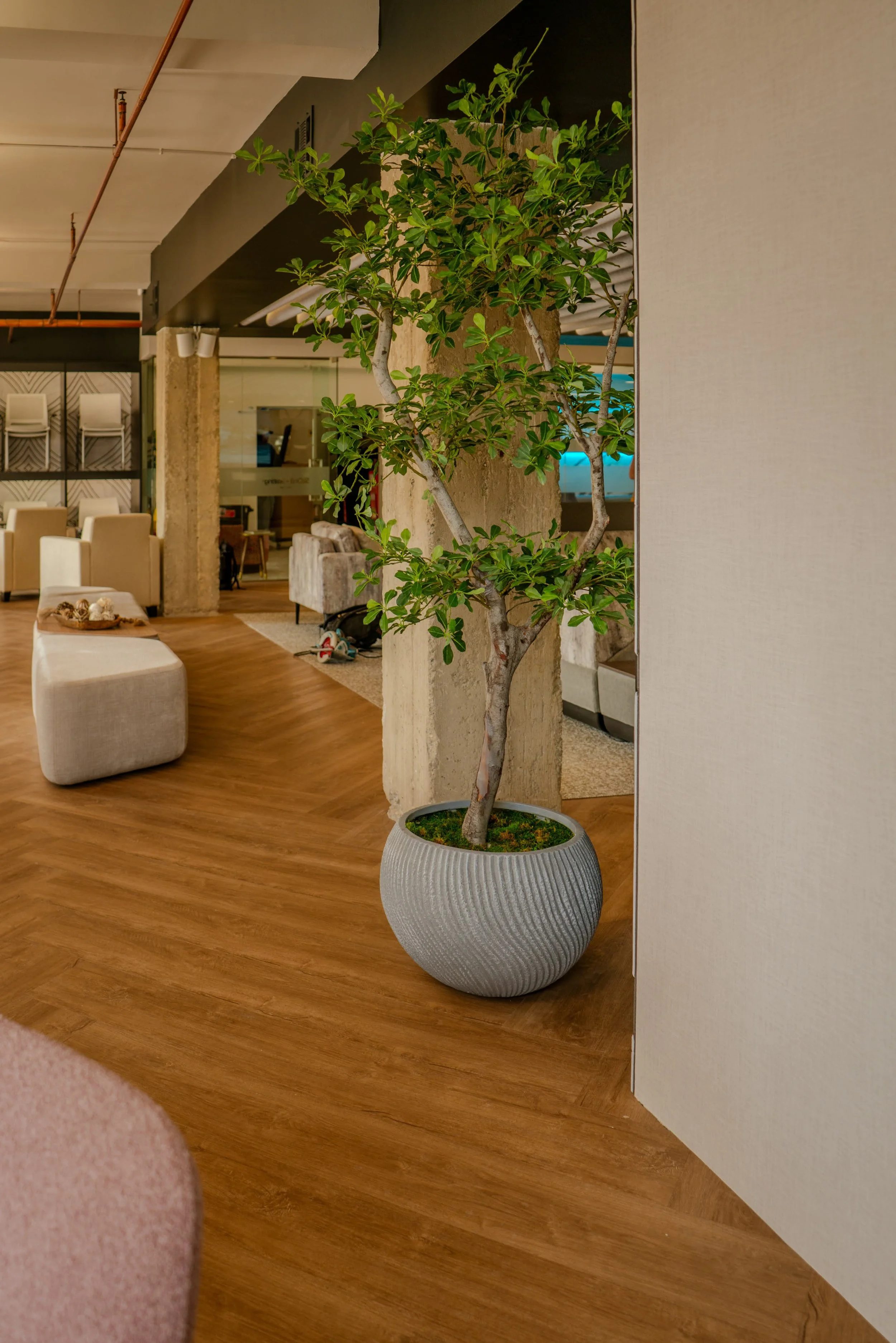 SOURCE COI Los Angeles showroom interior