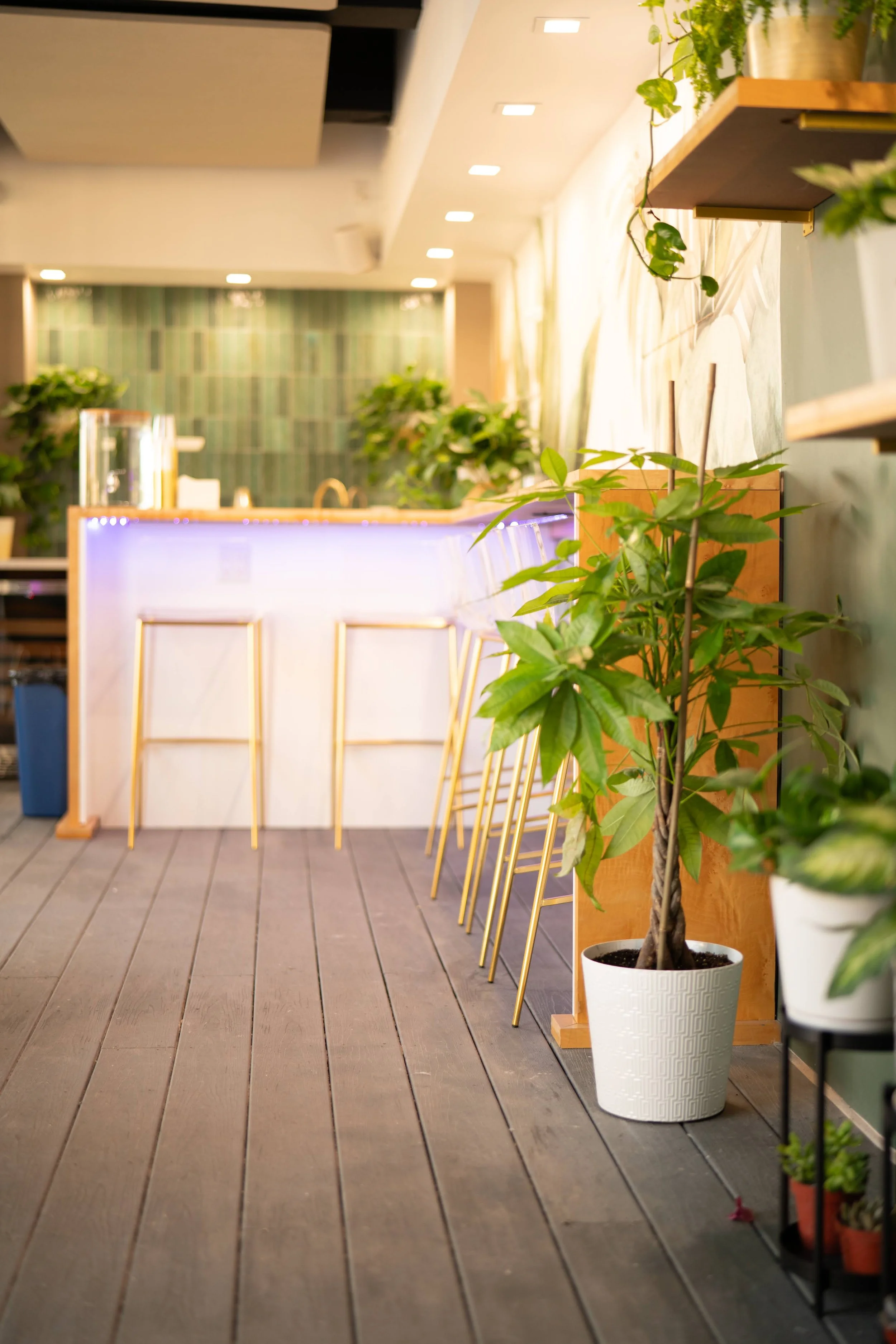 SOURCE COI Los Angeles showroom interior