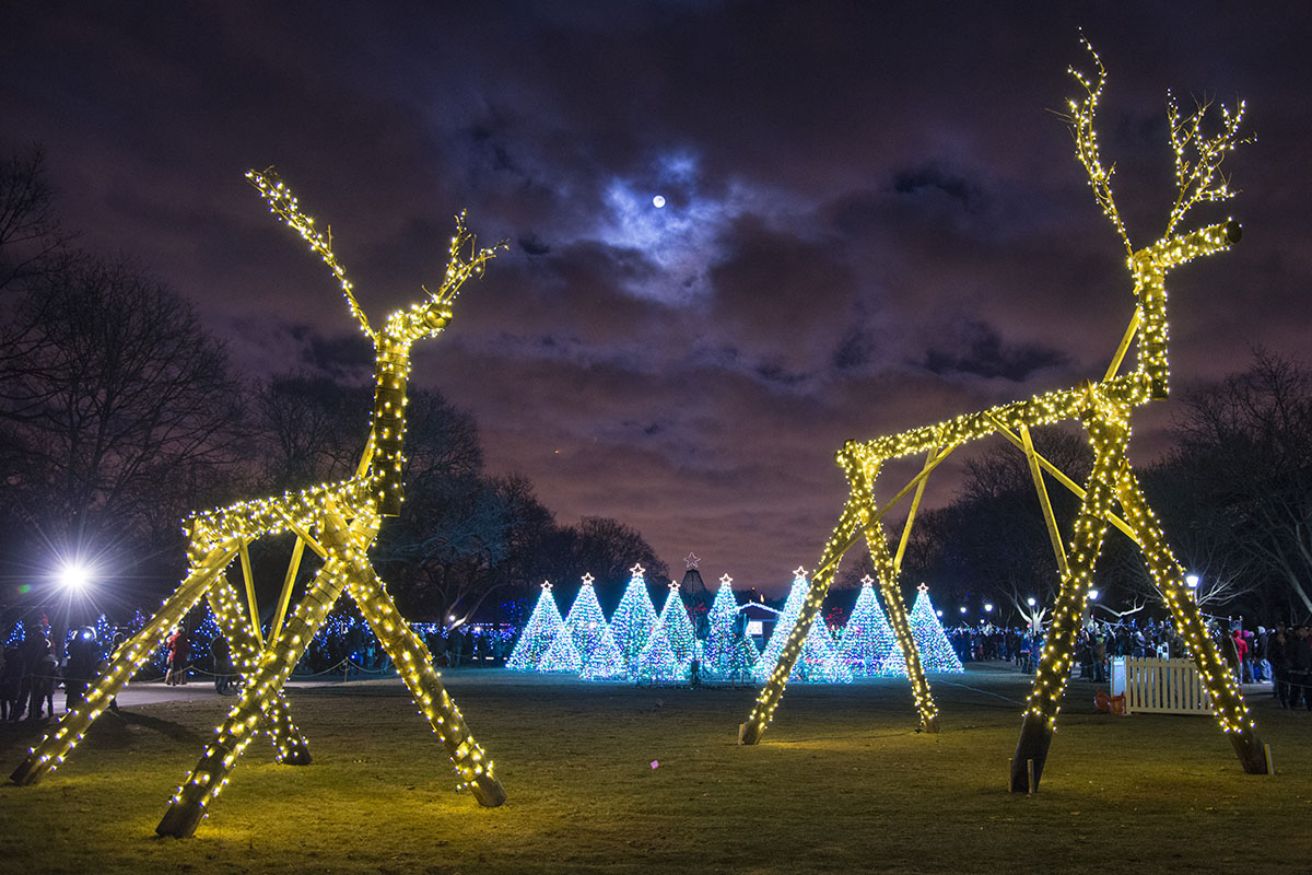 Lincoln Park Zoo's ZooLights Provider