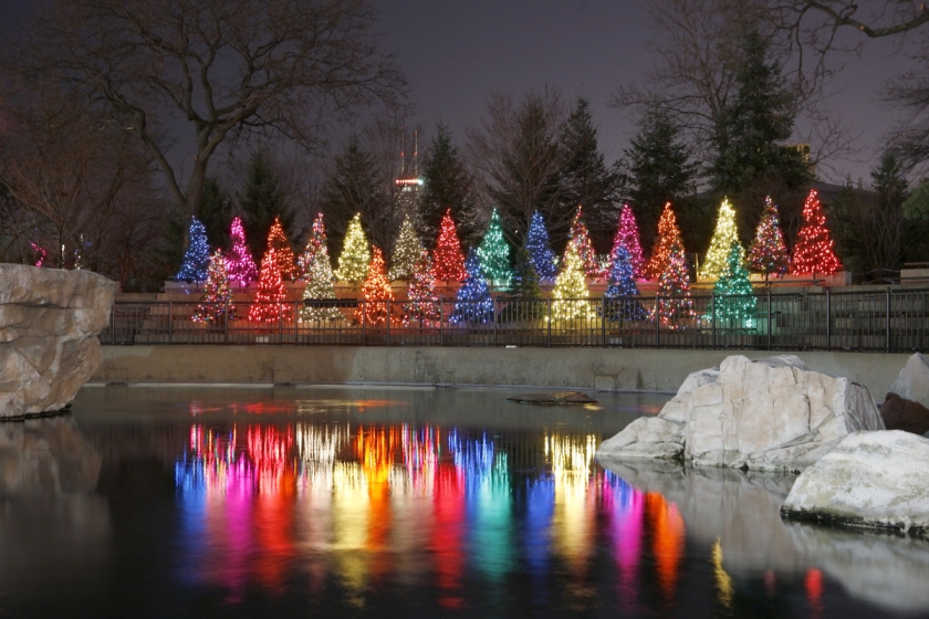 Lighting Chicago's Holiday Season For Over a Decade Learn more