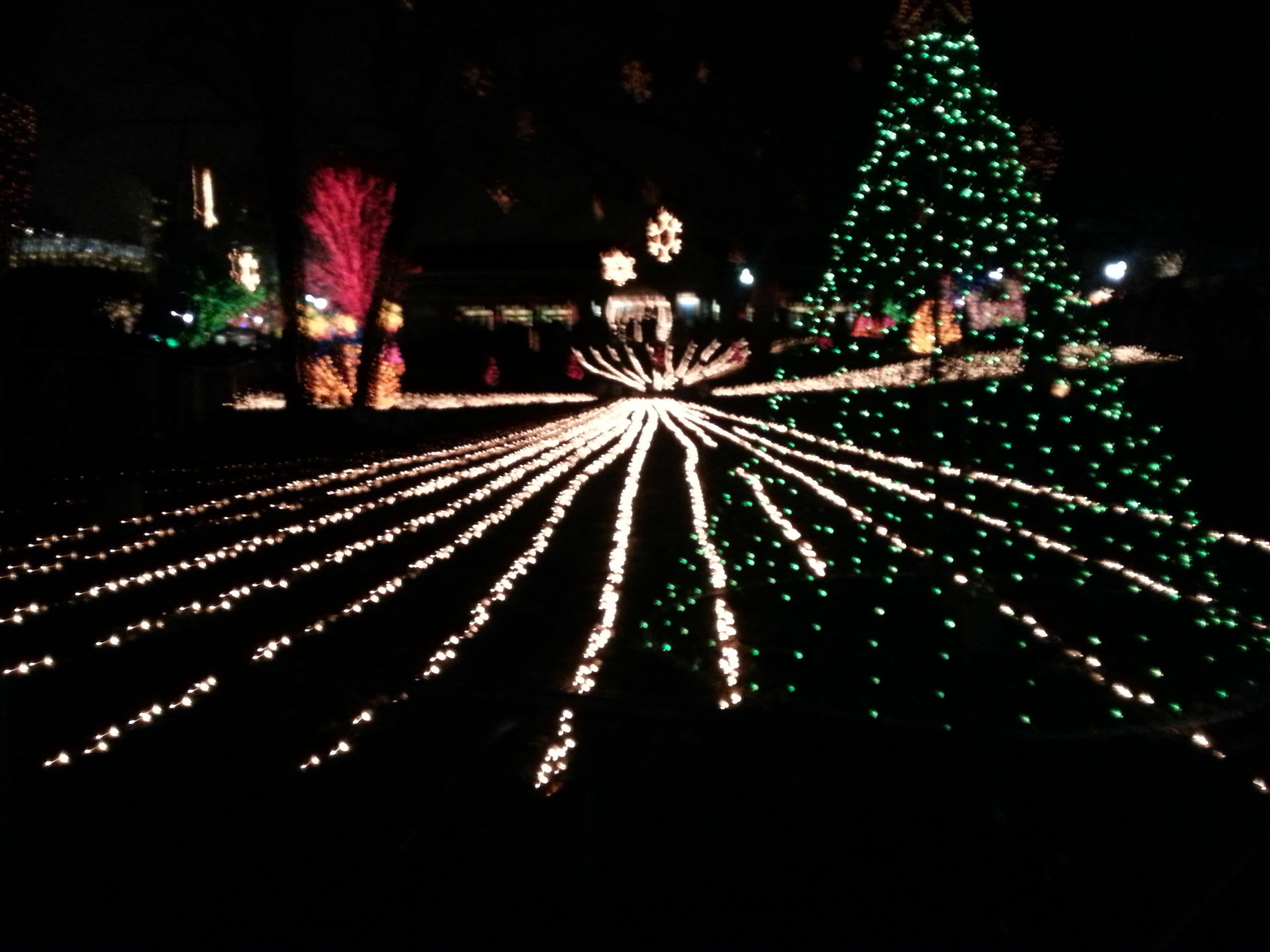 LED Christmas Tree & Professional Holiday Lighting