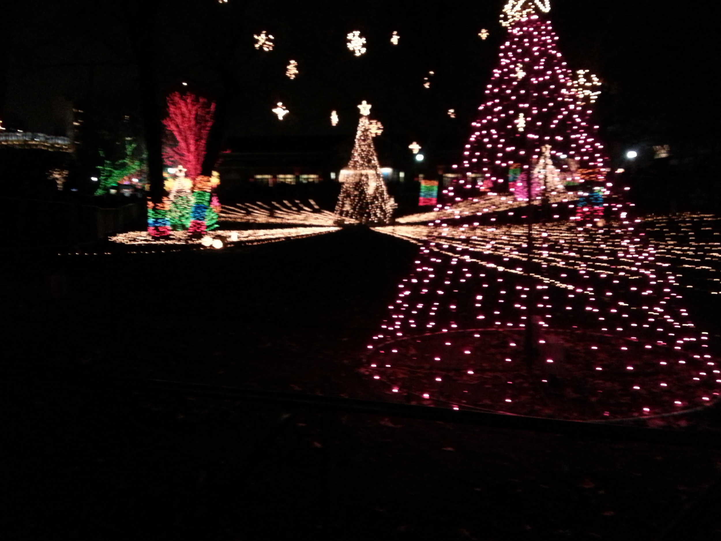 Lincoln Park ZooLights