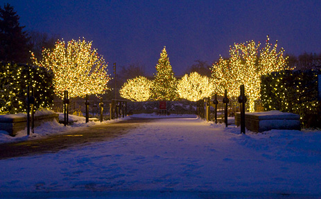 Outdoor Christmas Lights Chicago