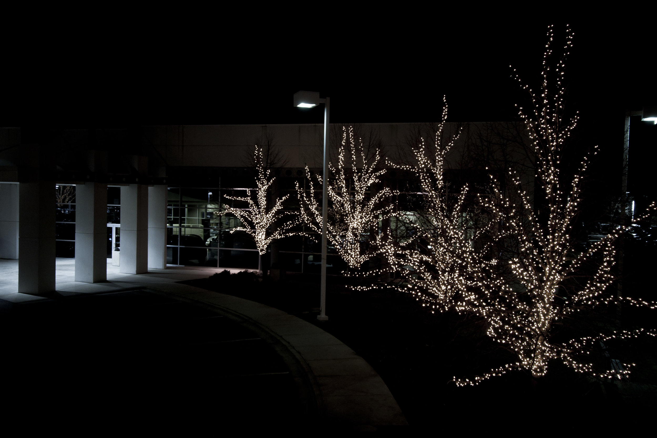 Holiday Lighting for Businesses