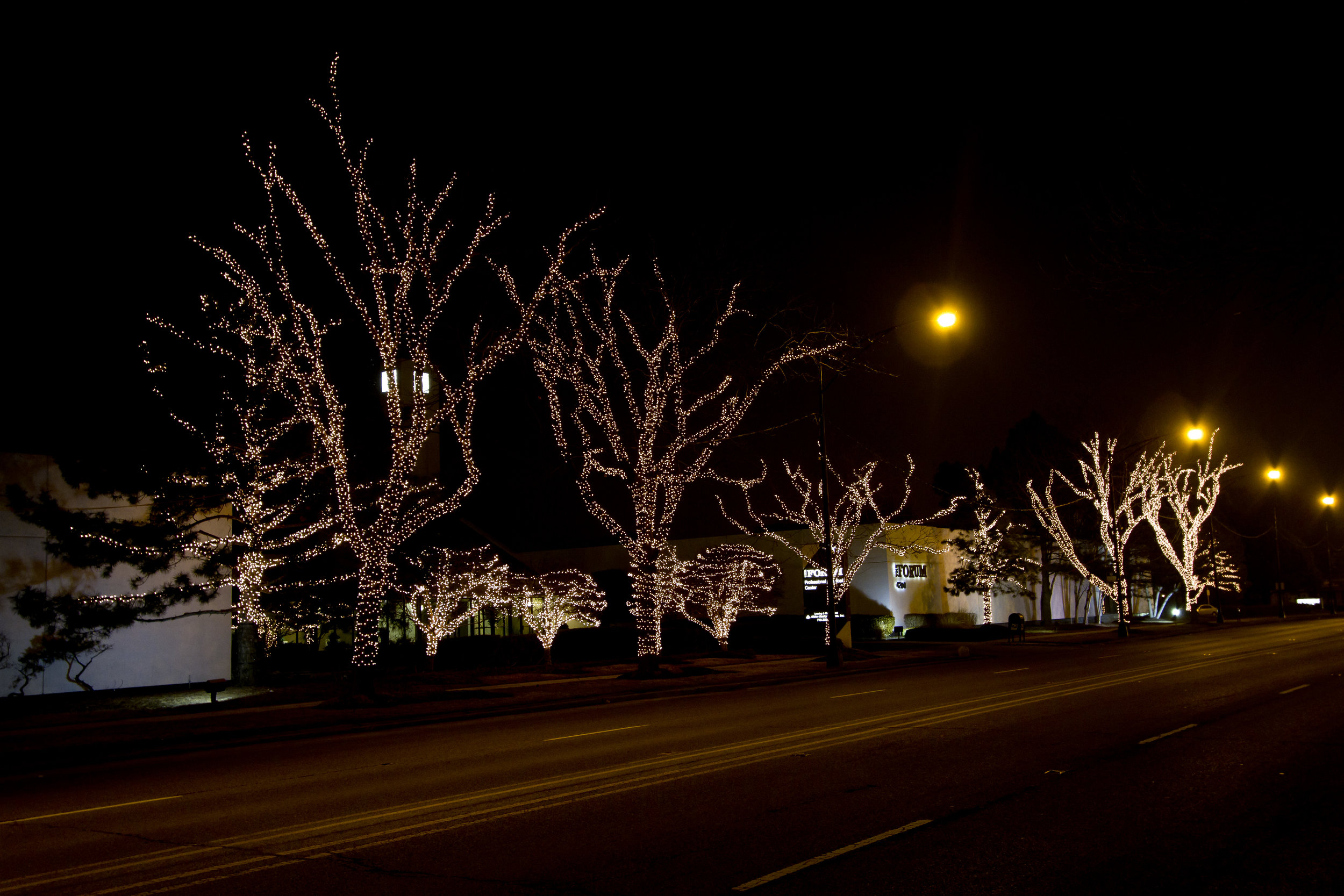 Commercial Holiday Light Installation in Chicagoland