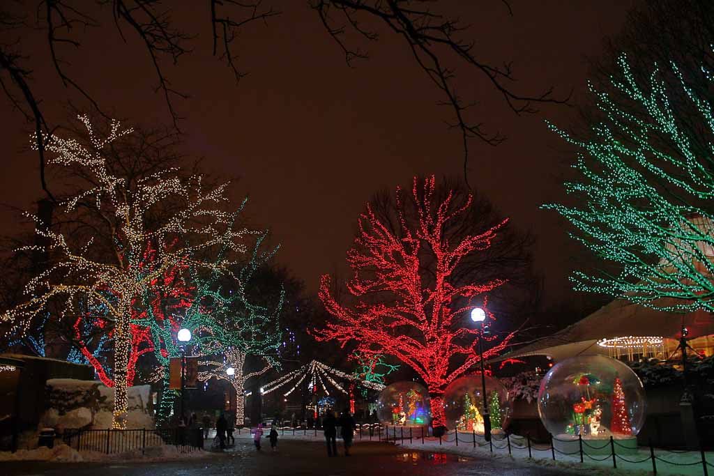 Holiday Tree Lights