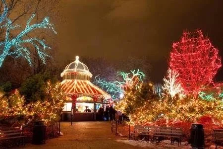 Christmas Outdoor Decorations