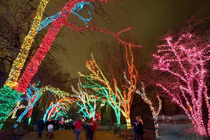 ZooLights at the Lincoln Park Zoo
