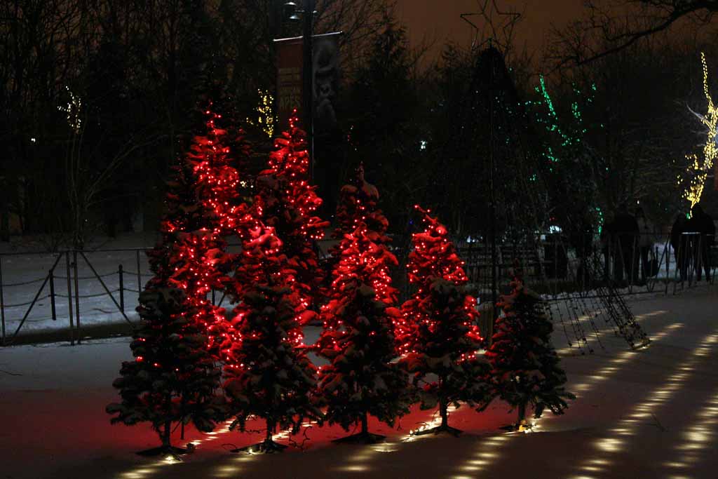 LED Lights on Holiday Trees