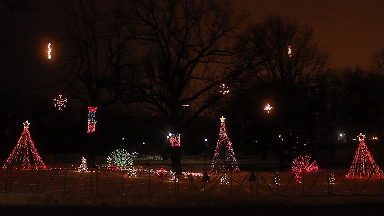 South Lawn Holiday Lights - Our Work