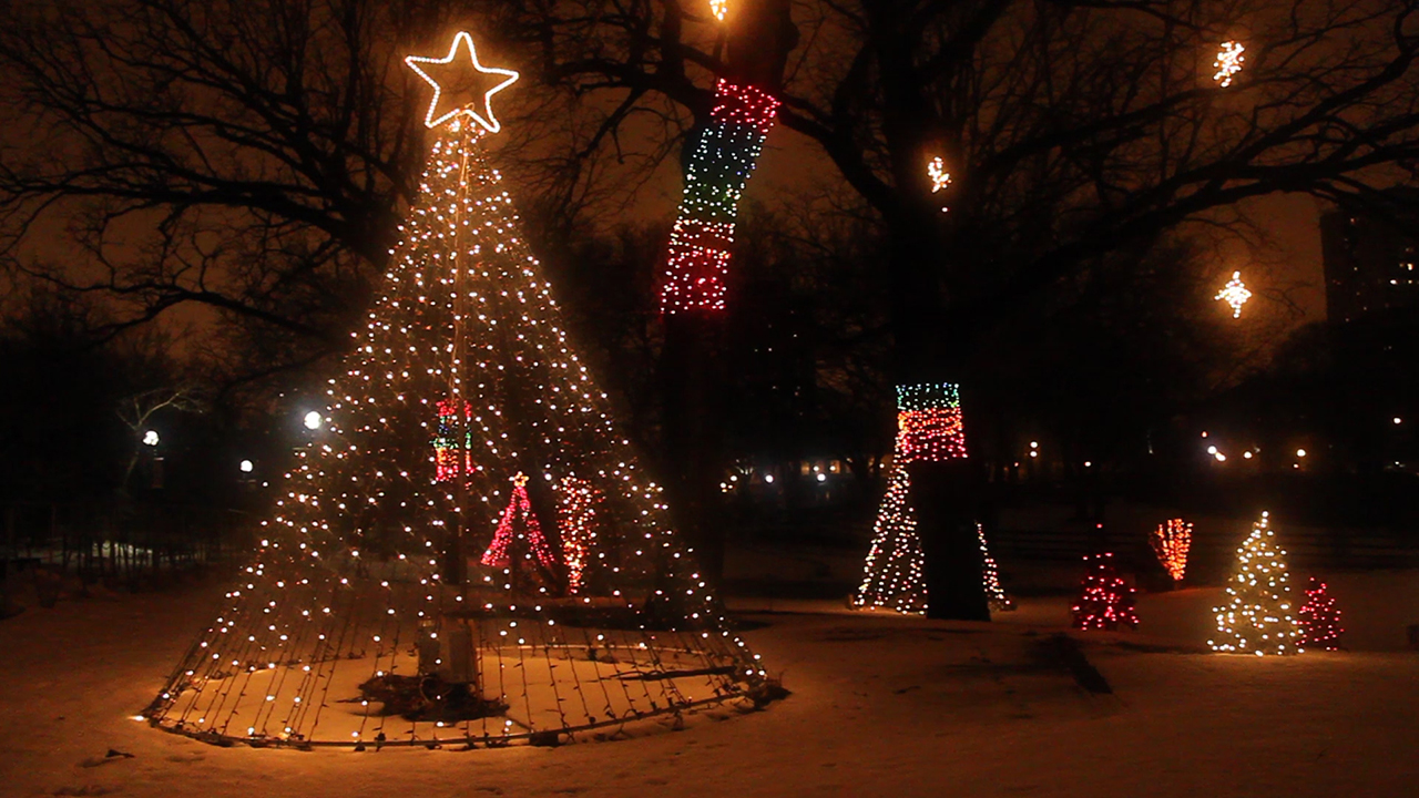 Outdoor Christmas Holiday Lighting