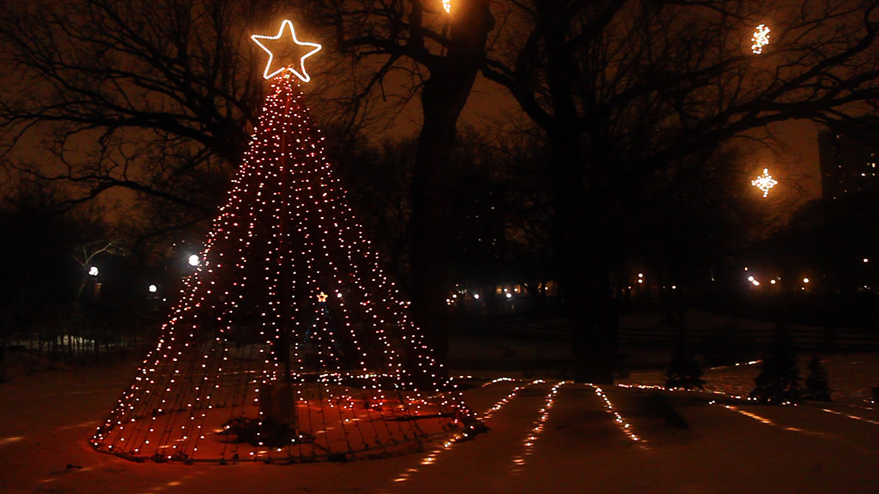 Holiday Tree Lights