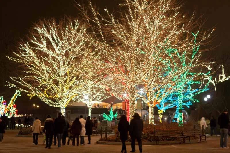 Commercial Holiday Lighting