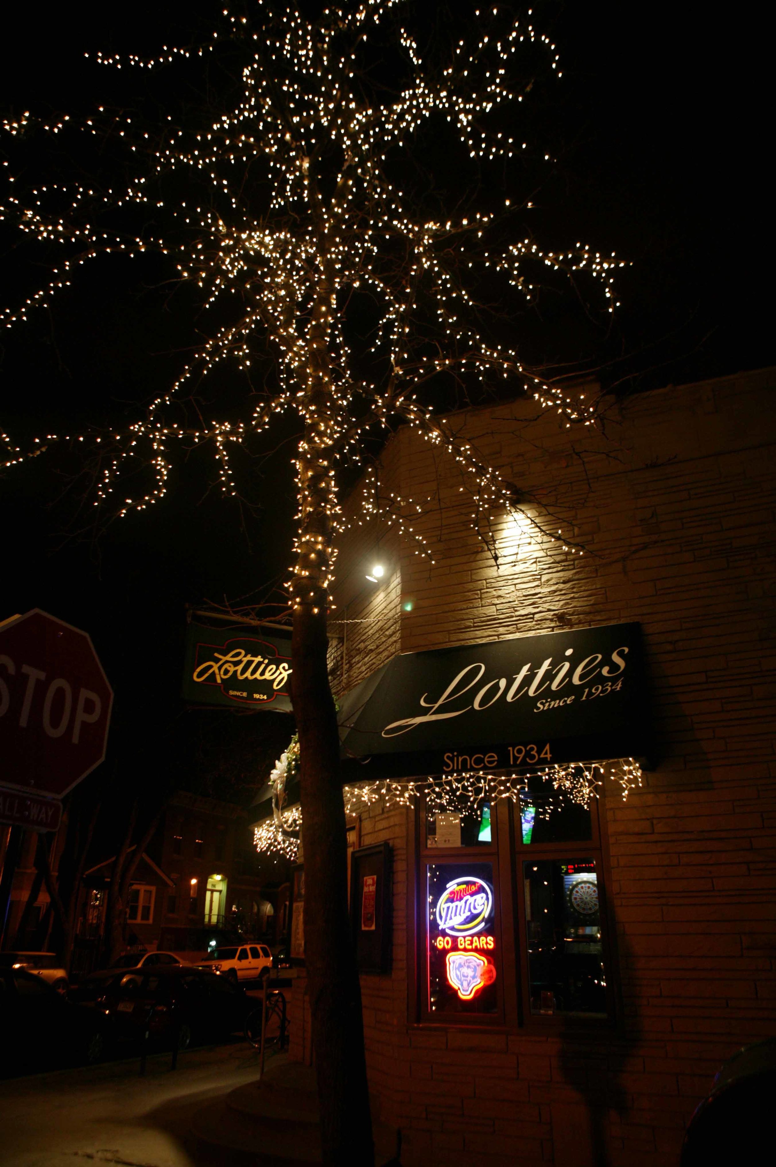 Holiday Lighting Installation Famous Chicago Places