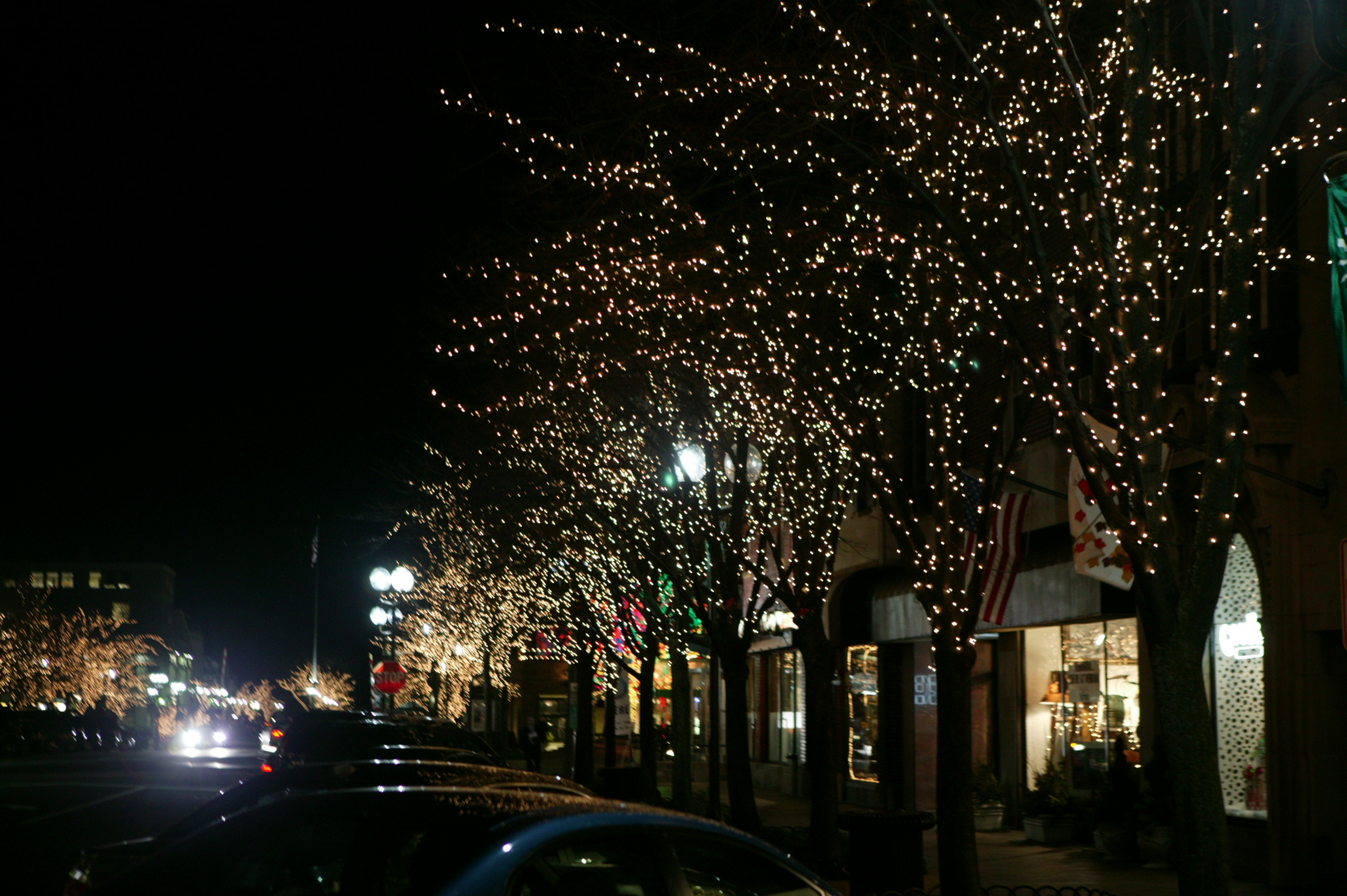 lights.2 013.jpg