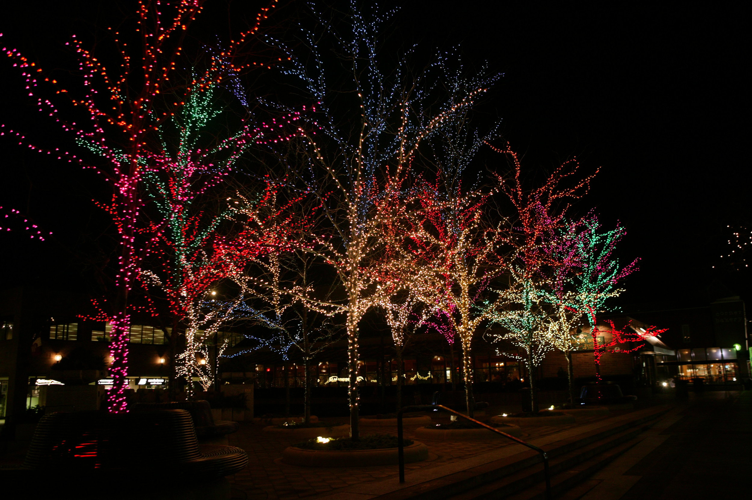 Chicago Holiday Lighting Trees