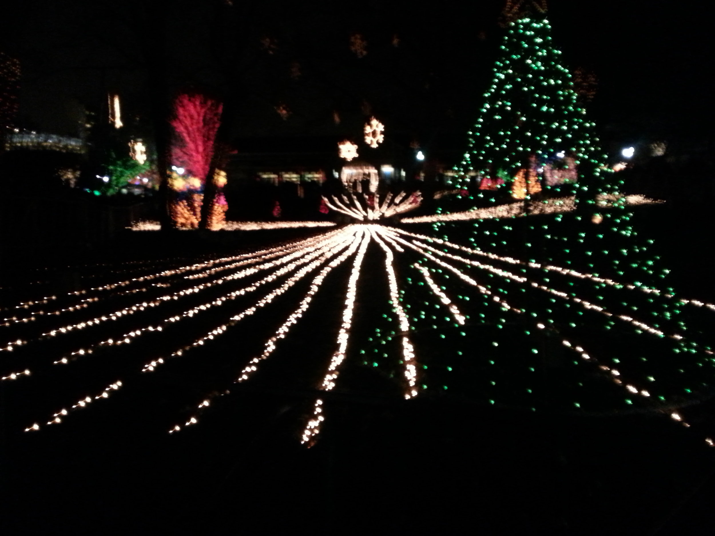 Premium Holiday Lighting Show