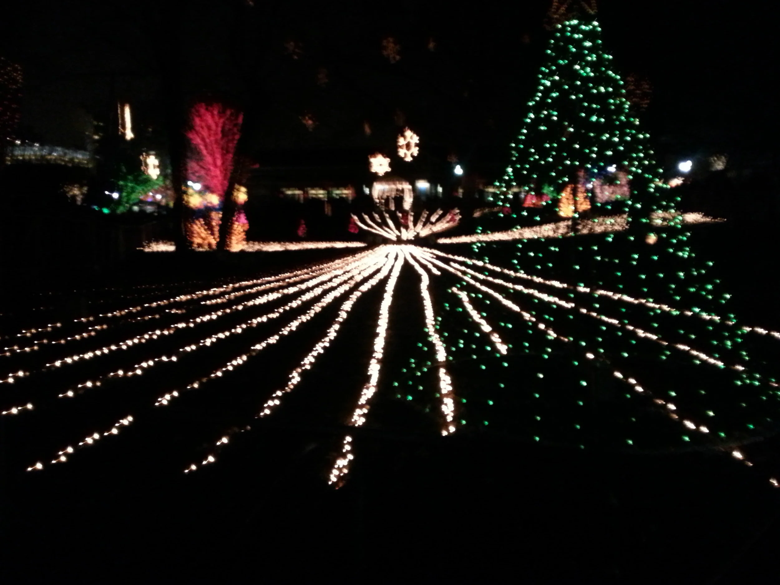 Premium Holiday Lighting Show