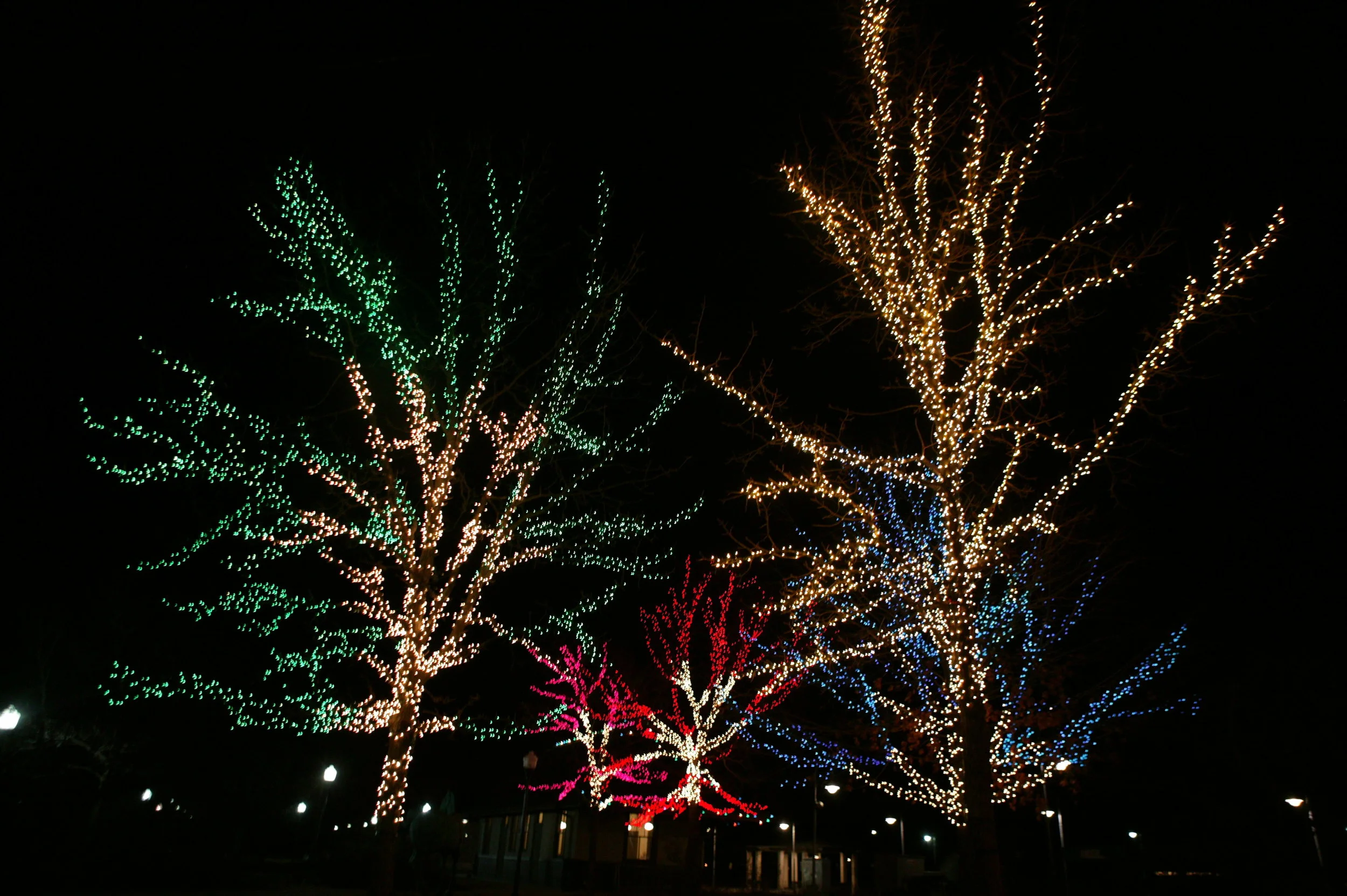 lights.2 062.jpg