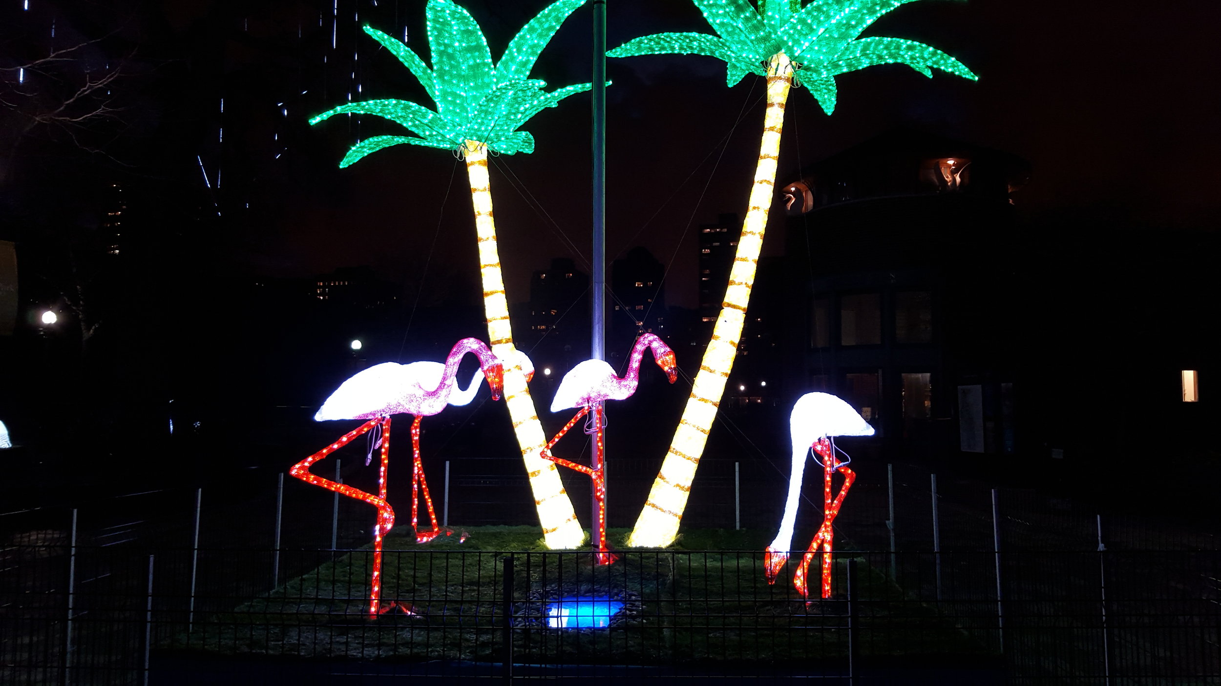 Flamingo & Palm Tree Holiday Lighting