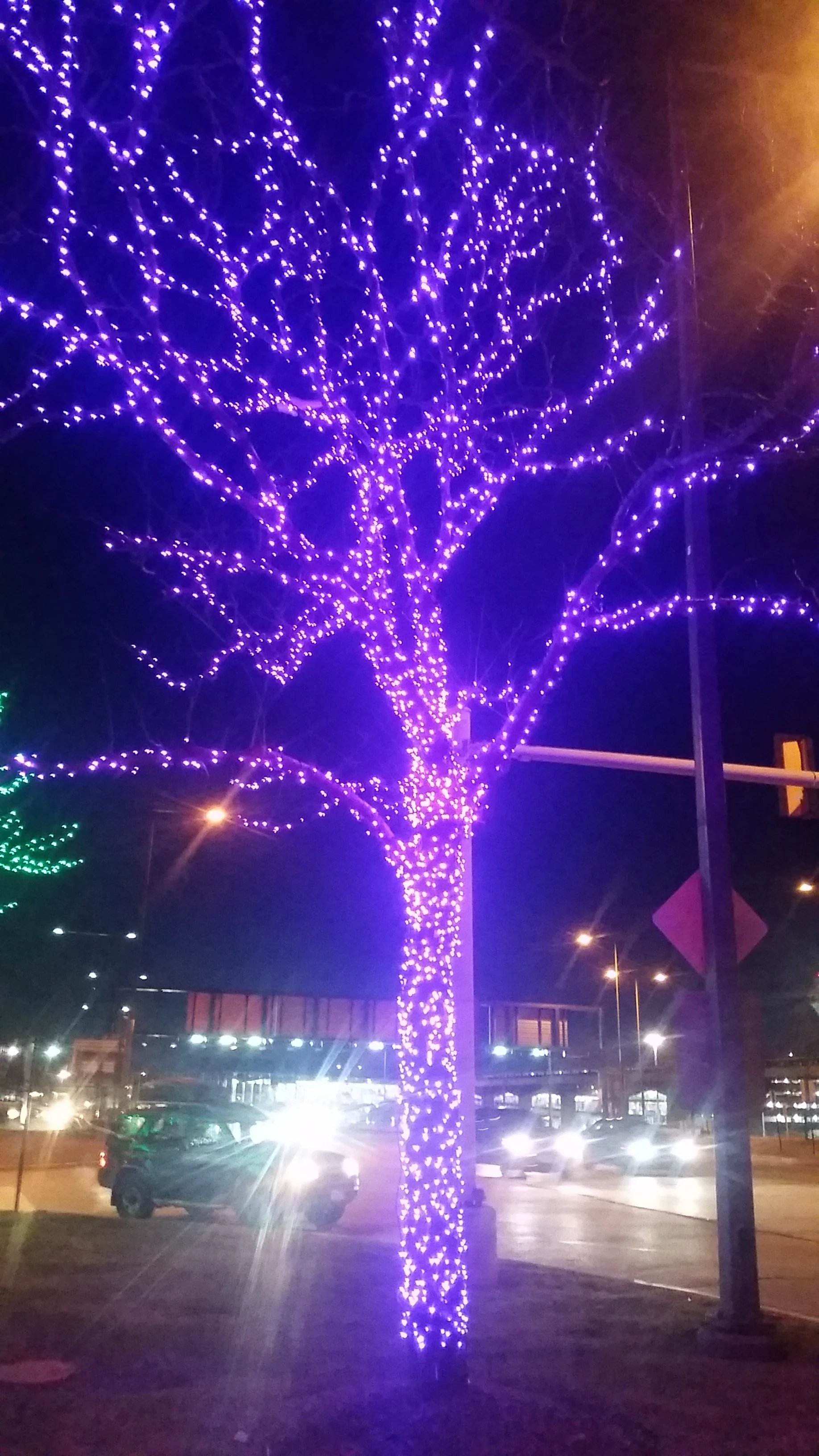 Premiere Holiday Tree Decorations