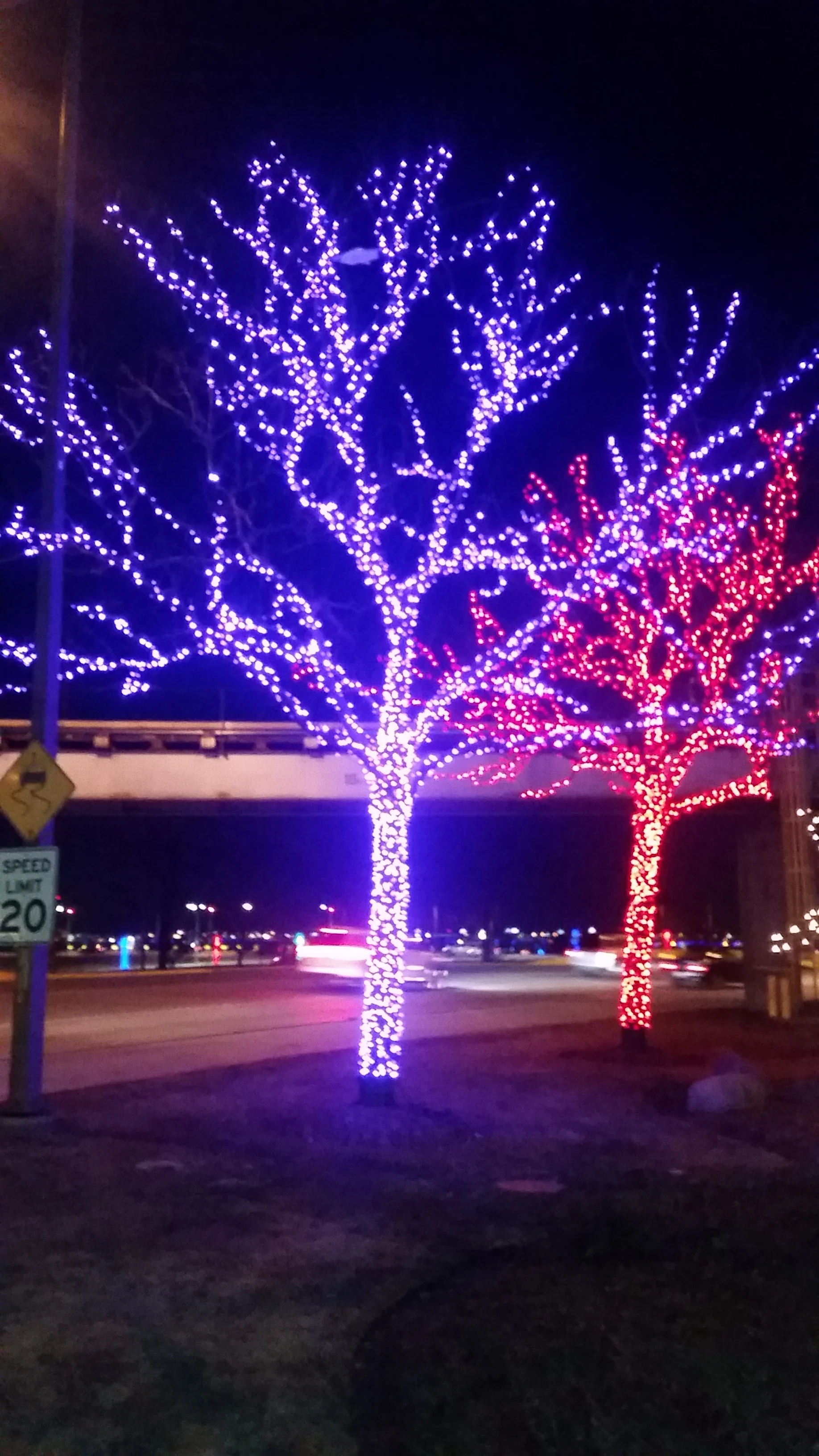 Commercial Holiday Tree Lighting