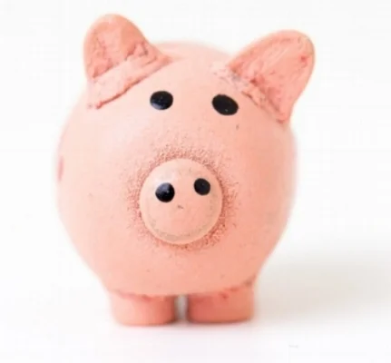 piggy bank.jpg