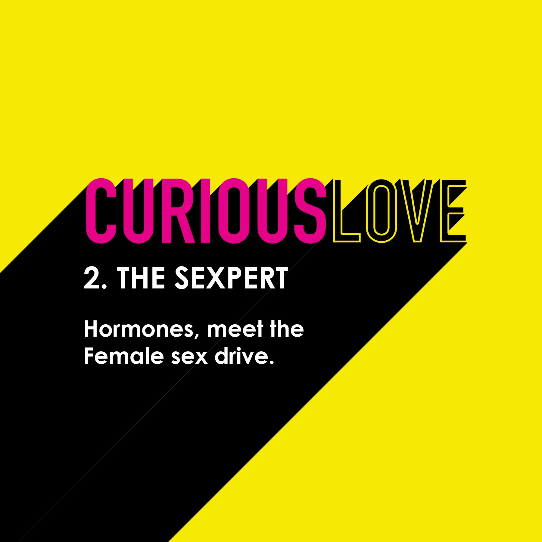 Chapter 2: The Sexpert