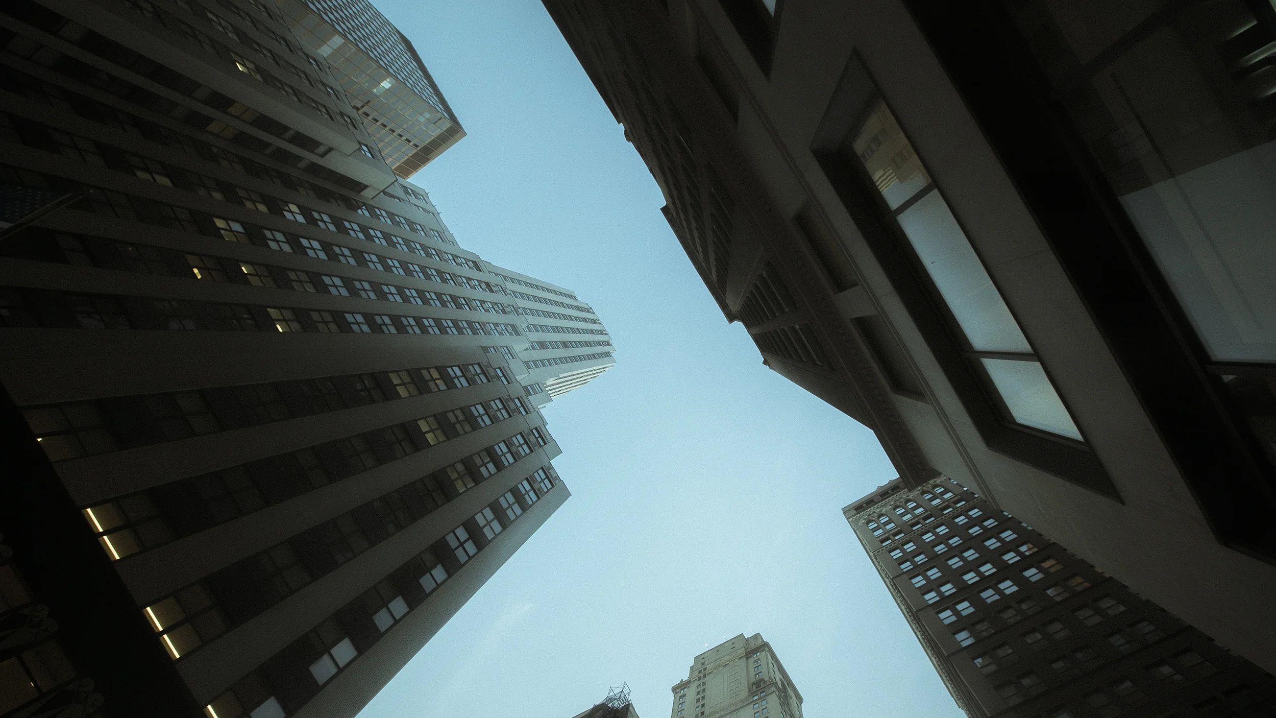 DSC09779.jpg