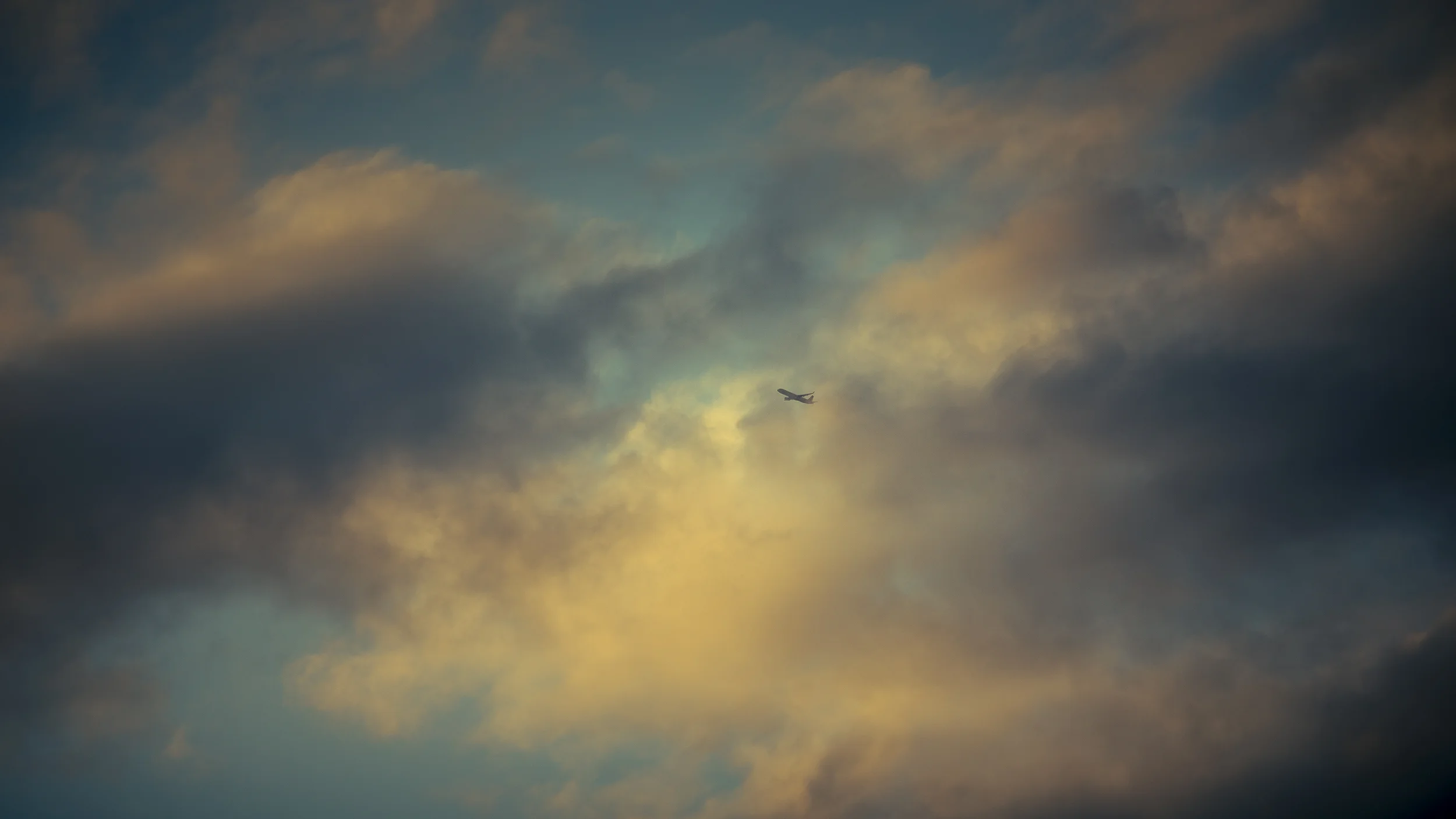 IMG_6423.jpg
