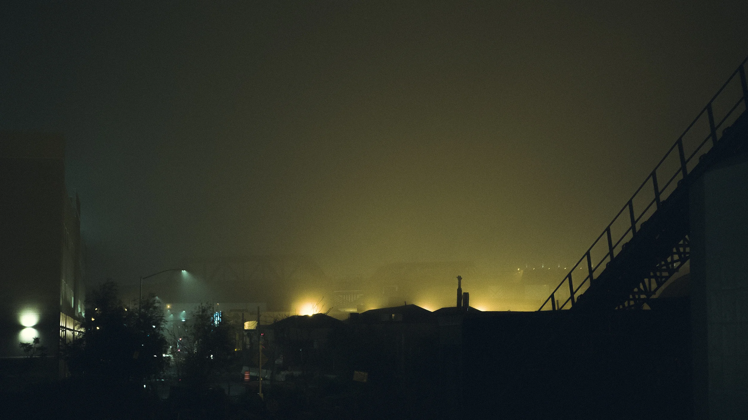 DSC08784.jpg
